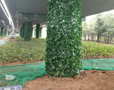 香王立交垂直绿化网