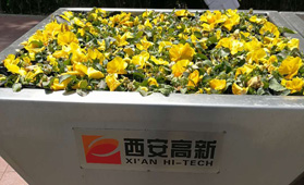 西安高新区科技路不锈钢花钵