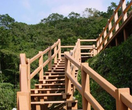 塑木廊桥